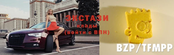 СК Алексин
