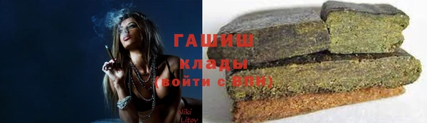 СК Алексин