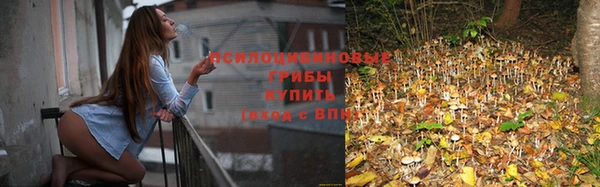 мяу мяу мука Алзамай