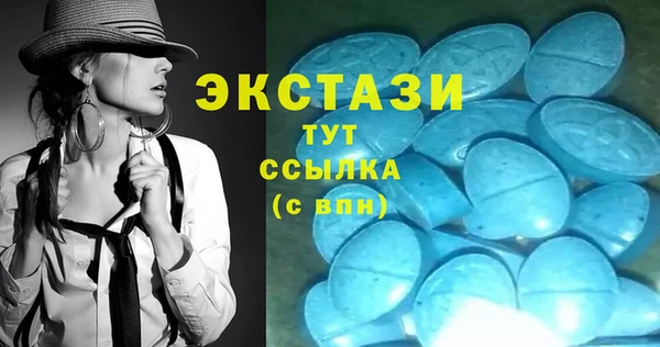 СК Алексин