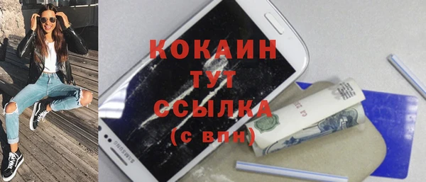 СК Алексин