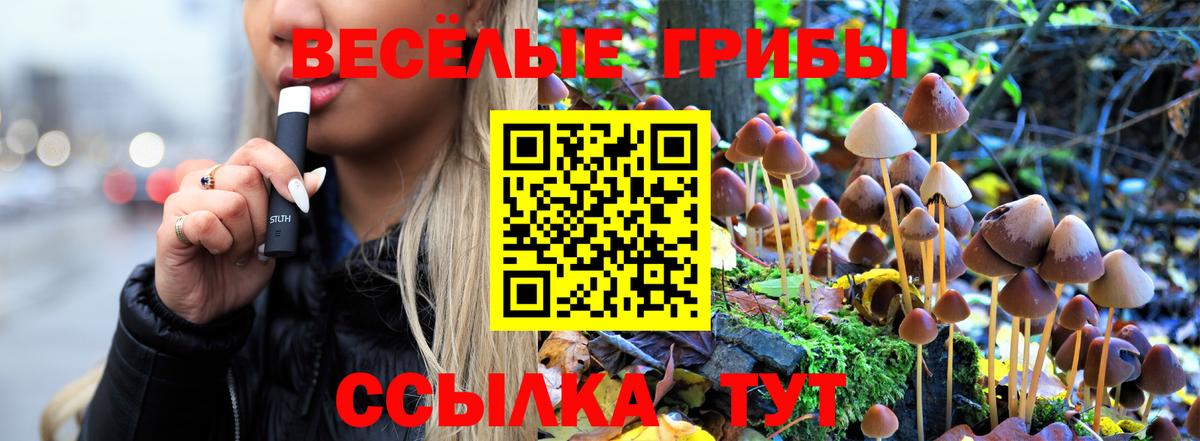 Лениногорск  где купить   Вход с VPN  Галлюциногенные грибы Magic Shrooms  Псилоцибиновые грибы прущие грибы 